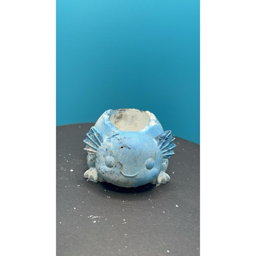 2 Axolotl  Concrete Planter Blue– Handmade Cement Succulent Plant  Pot, Handmade - Picture 7 of 12